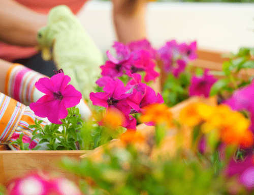 4 Things To Expect from the Spring Housing Market