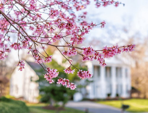 4 Ways To Make an Offer That Stands Out This Spring